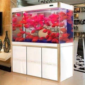 養龍魚缸里放什么裝飾品好看：養龍魚缸放什么裝飾品好看