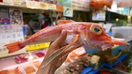 龍魚口感怎樣描寫的：龍魚與其他魚類口感比較,如何挑選新鮮龍魚?