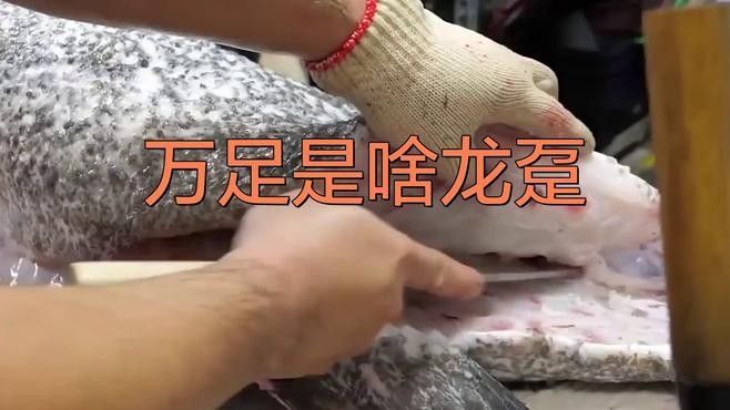 龍躉是什么意思？