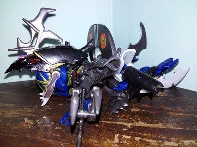 黑魔神和龍魚混養：黑魔神雷龍魚和龍魚可以混養