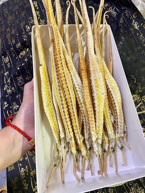 淡水海龍魚的圖片