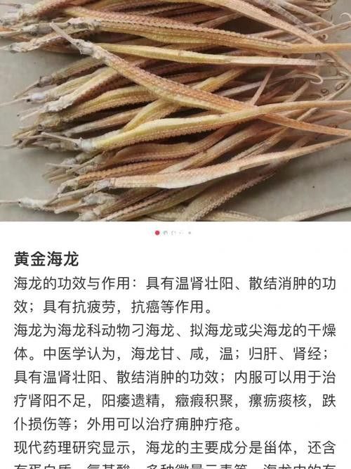 淡水海龍魚的圖片