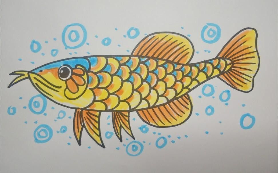 金龍魚線描作品欣賞