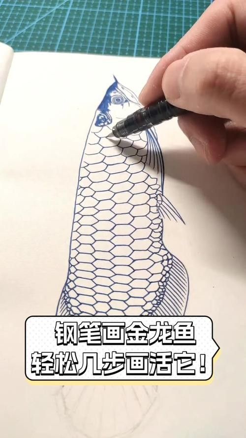 金龍魚線描作品欣賞