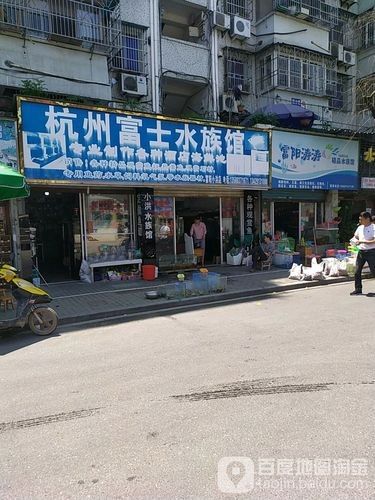 富陽開水族店怎么樣?加盟祥龍魚場賣龍魚市場怎樣? 水族館百科(水族館加盟) 第2張 富陽開水族店怎么樣?加盟祥龍魚場賣龍魚市場怎樣? 富陽開水族店怎么樣?加盟祥龍魚場賣龍魚市場怎樣? 水族館百科(水族館加盟) 第2張