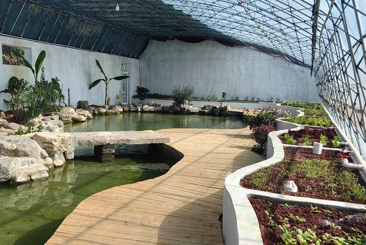 高唐開水族店怎么樣？加盟祥龍魚場賣龍魚市場怎樣？ 高唐開水族店怎么樣？加盟祥龍魚場賣龍魚市場怎樣？ 水族館百科（水族館加盟） 第4張