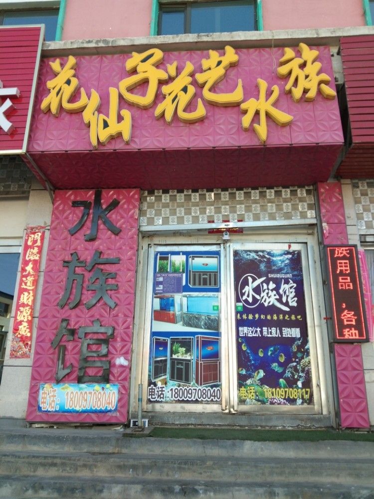 海北開水族店怎么樣？加盟祥龍魚場賣龍魚市場怎樣？