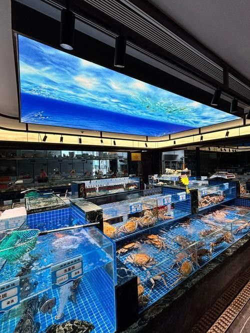 臨高開水族店怎么樣？加盟祥龍魚場賣龍魚市場怎樣？