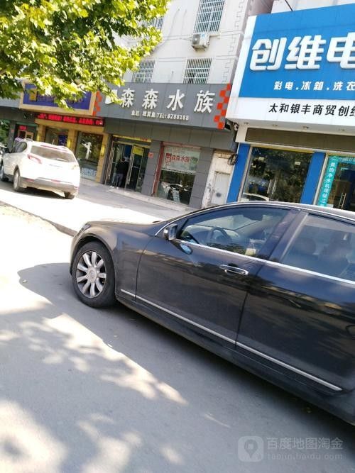 太和開水族店怎么樣？加盟祥龍魚場賣龍魚市場怎樣？