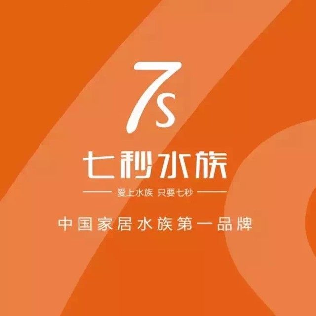 寧津開水族店怎么樣？加盟祥龍魚場賣龍魚市場怎樣？