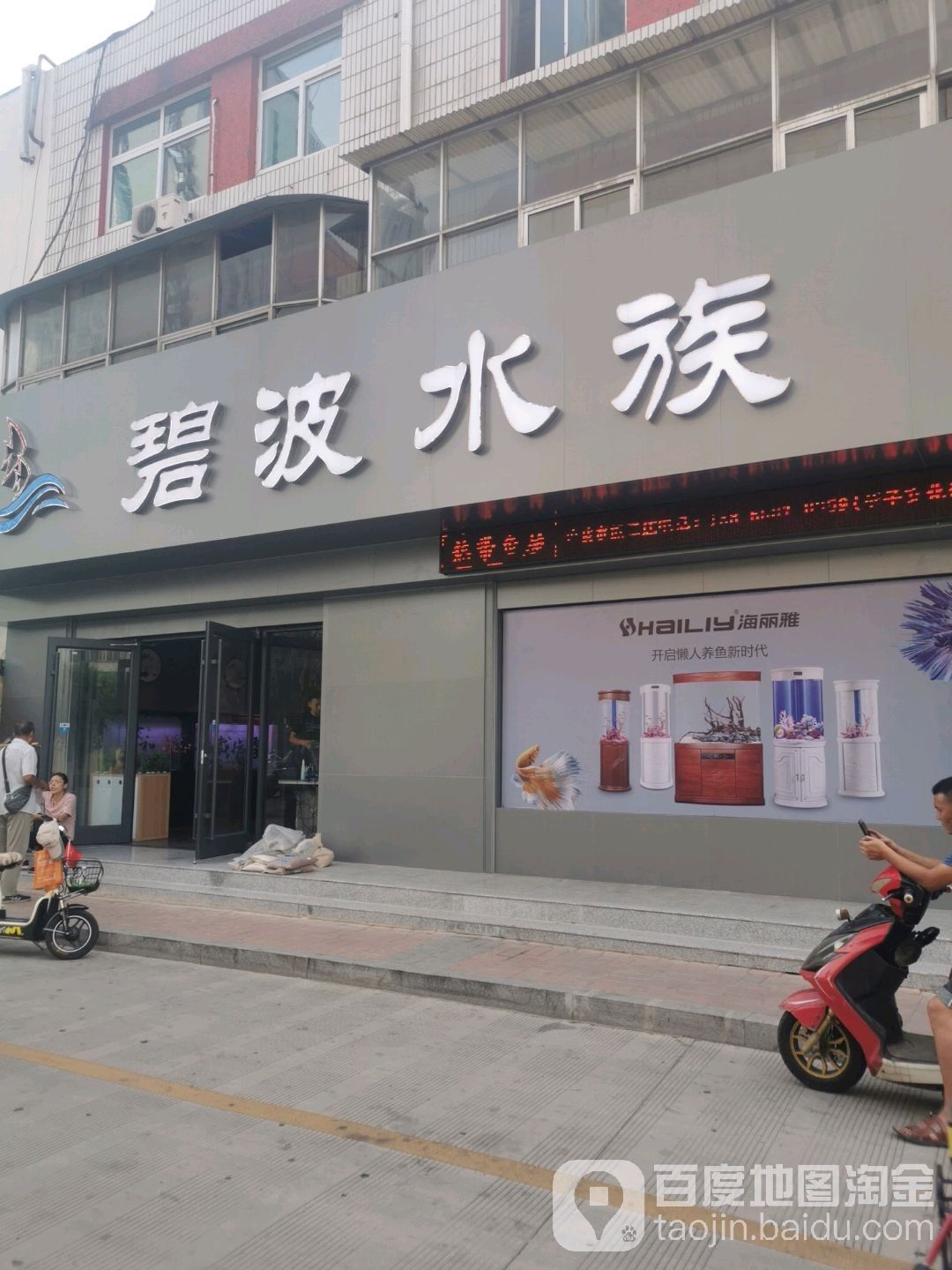 寧津開水族店怎么樣？加盟祥龍魚場賣龍魚市場怎樣？