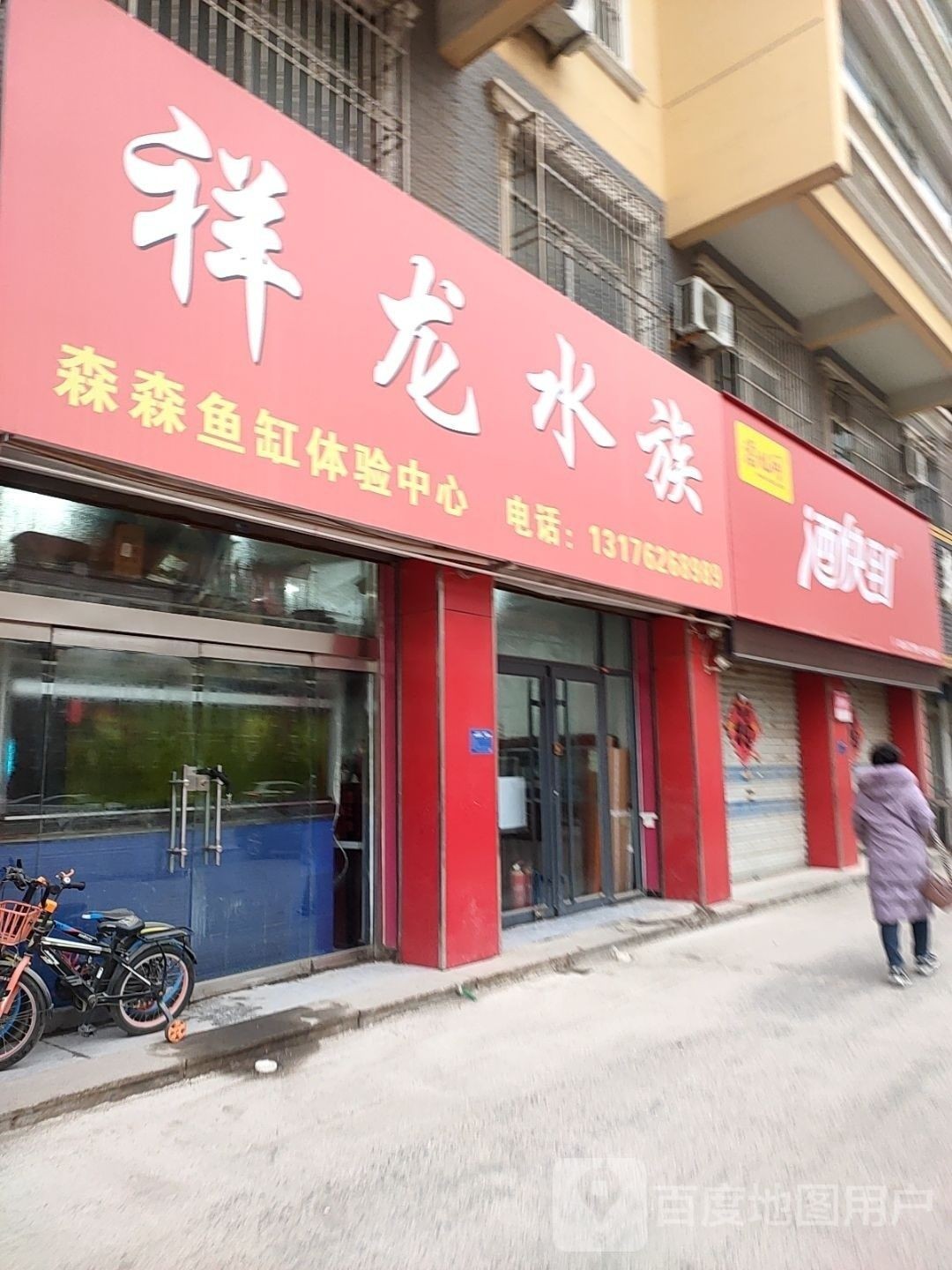 寧津開水族店怎么樣？加盟祥龍魚場賣龍魚市場怎樣？
