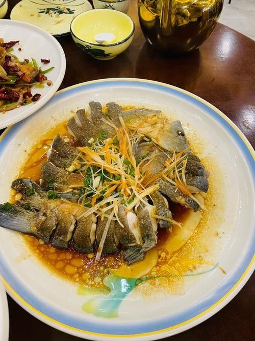 饒河開水族店怎么樣？加盟祥龍魚場賣龍魚市場怎樣？