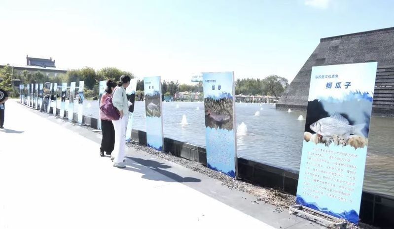 饒河開水族店怎么樣？加盟祥龍魚場賣龍魚市場怎樣？