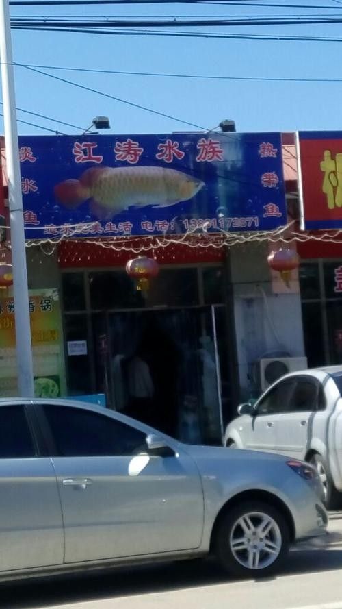 順義開水族店怎么樣？加盟祥龍魚場賣龍魚市場怎樣？