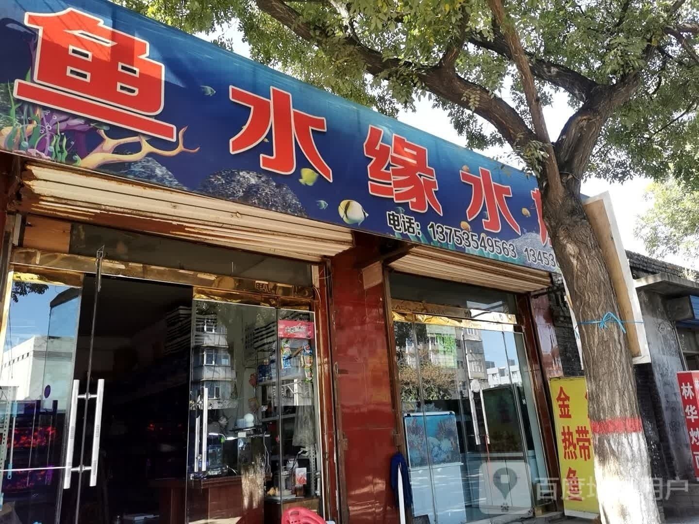 汾西開水族店怎么樣？加盟祥龍魚場賣龍魚市場怎樣？