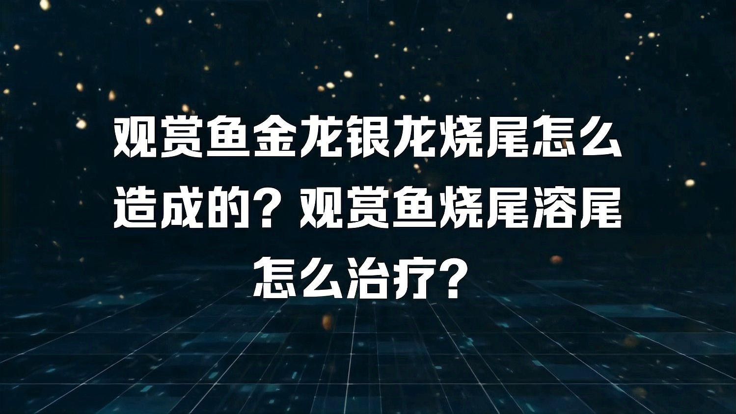 銀龍魚燒尾怎么辦 銀龍魚燒尾怎么辦 龍魚百科 第2張