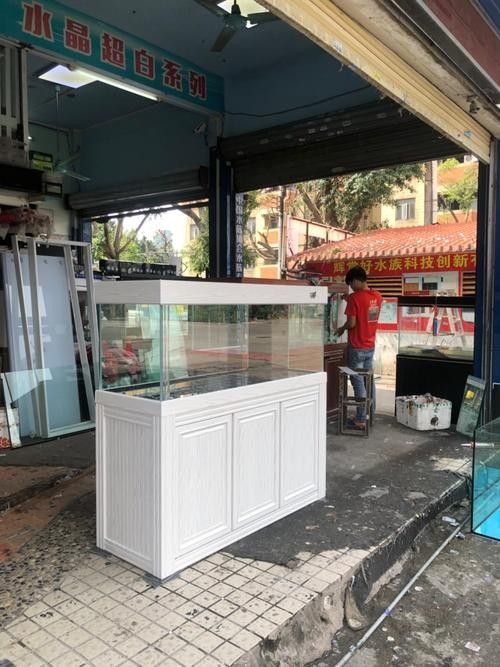 惠山開水族店怎么樣？加盟祥龍魚場賣龍魚市場怎樣？ 惠山開水族店怎么樣？加盟祥龍魚場賣龍魚市場怎樣？ 水族館百科（水族館加盟） 第5張