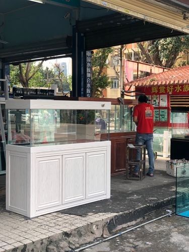 惠山開水族店怎么樣？加盟祥龍魚場賣龍魚市場怎樣？ 惠山開水族店怎么樣？加盟祥龍魚場賣龍魚市場怎樣？ 水族館百科（水族館加盟） 第3張