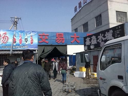 鞍山開水族店怎么樣？加盟祥龍魚場賣龍魚市場怎樣？ 鞍山開水族店怎么樣？加盟祥龍魚場賣龍魚市場怎樣？ 水族館百科（水族館加盟） 第5張