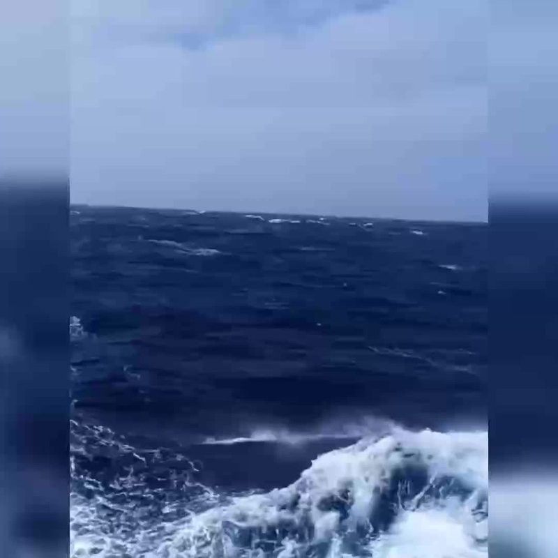 銀龍魚專用魚糧好嗎