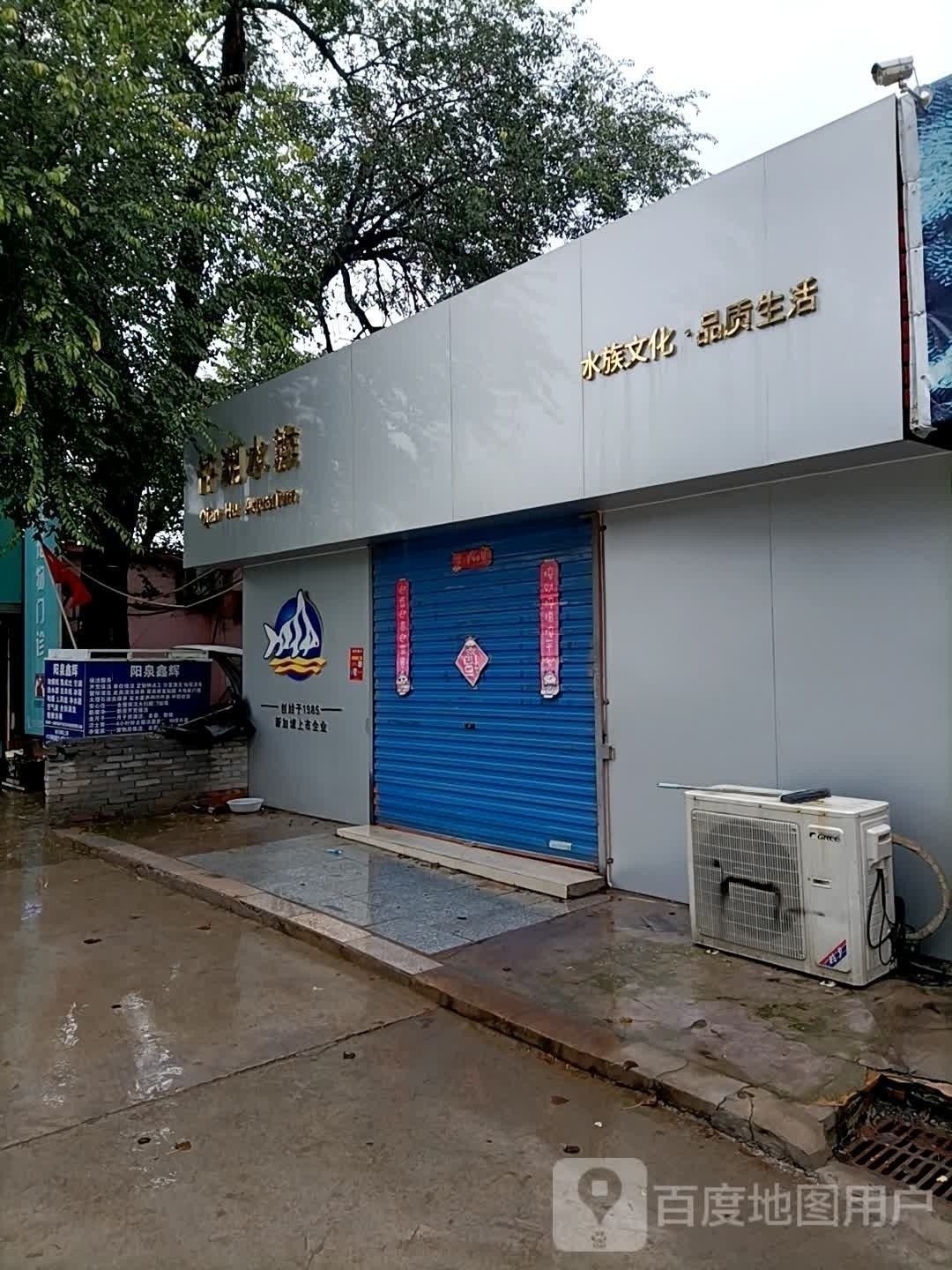陽泉開水族店怎么樣？加盟祥龍魚場賣龍魚市場怎樣？