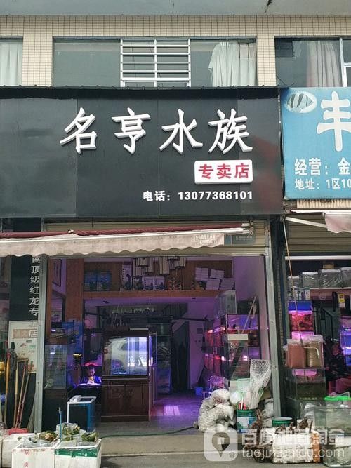 長沙開水族店怎么樣？加盟祥龍魚場賣龍魚市場怎樣？