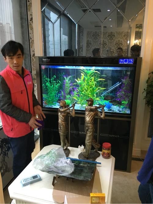 德江開水族店怎么樣？加盟祥龍魚場賣龍魚市場怎樣？ 德江開水族店怎么樣？加盟祥龍魚場賣龍魚市場怎樣？ 水族館百科（水族館加盟） 第1張