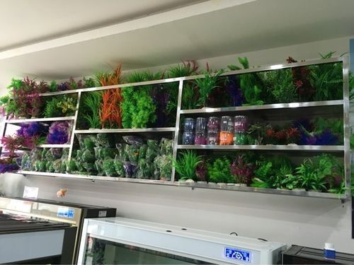 德江開水族店怎么樣？加盟祥龍魚場賣龍魚市場怎樣？ 德江開水族店怎么樣？加盟祥龍魚場賣龍魚市場怎樣？ 水族館百科（水族館加盟） 第4張