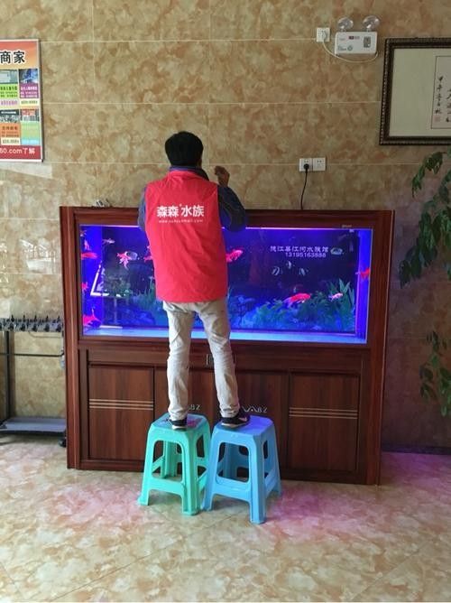 德江開水族店怎么樣？加盟祥龍魚場賣龍魚市場怎樣？ 德江開水族店怎么樣？加盟祥龍魚場賣龍魚市場怎樣？ 水族館百科（水族館加盟） 第2張