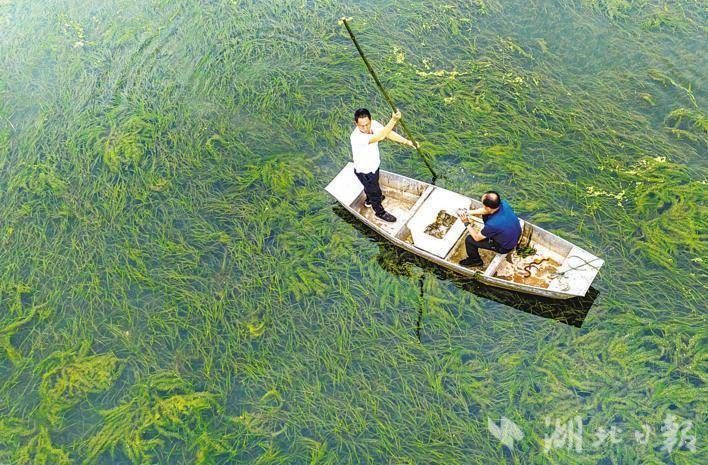 梁子湖開水族店怎么樣？加盟祥龍魚場賣龍魚市場怎樣？ 梁子湖開水族店怎么樣？加盟祥龍魚場賣龍魚市場怎樣？ 水族館百科（水族館加盟） 第10張