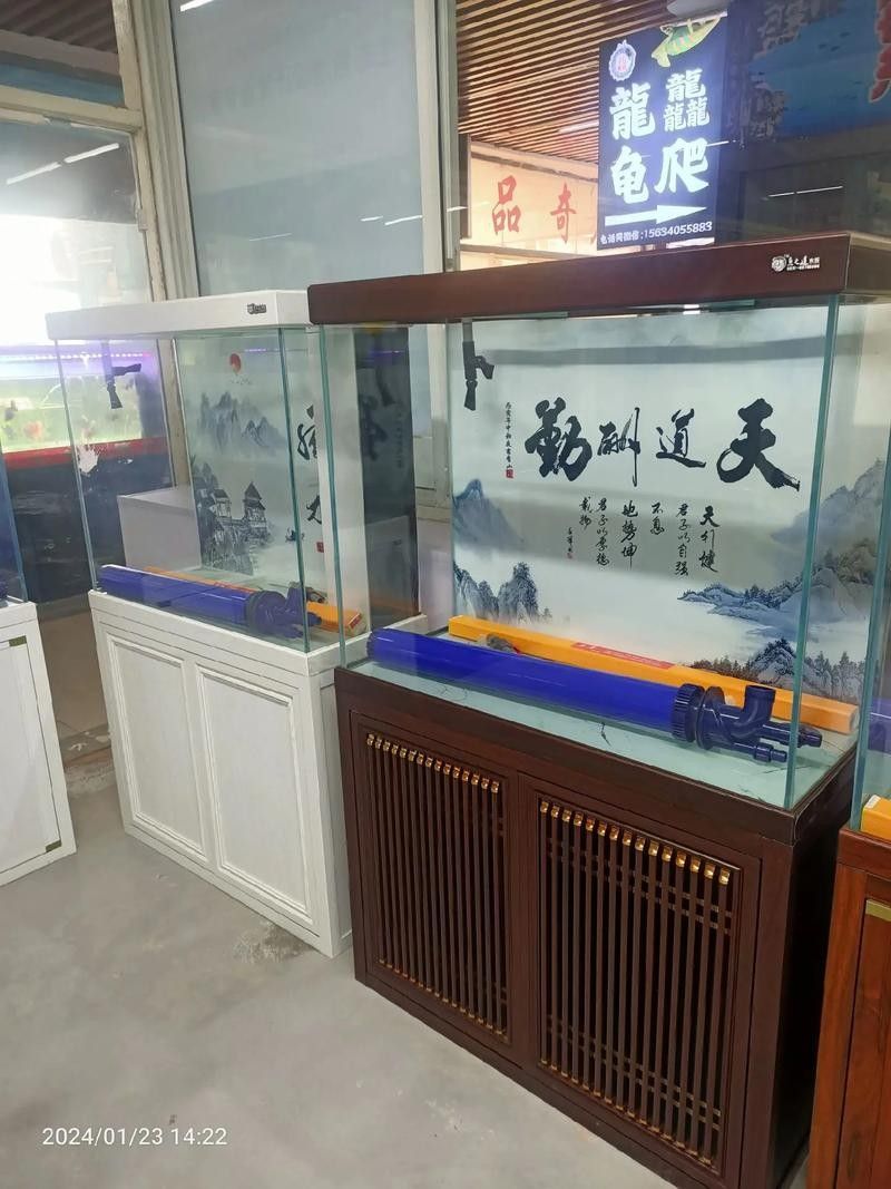 華龍開水族店怎么樣？加盟祥龍魚場賣龍魚市場怎樣？
