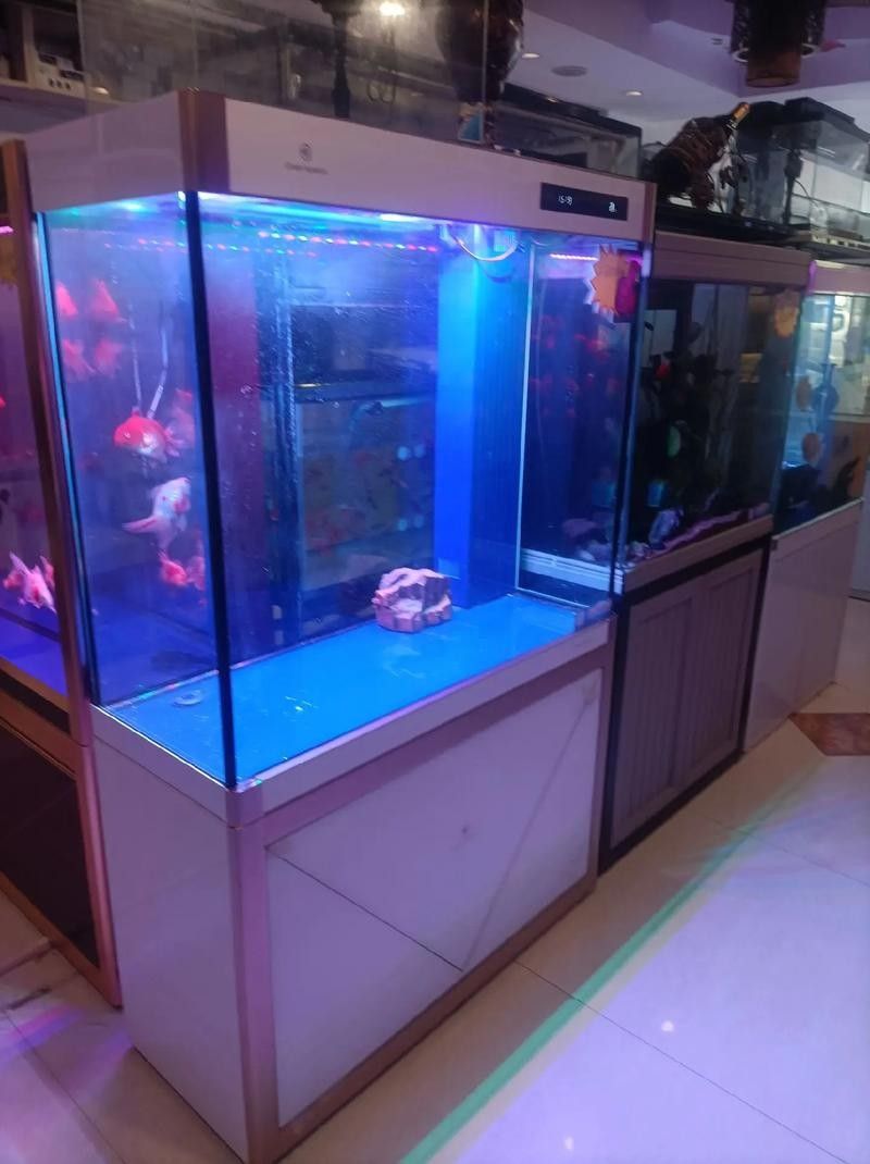 邕寧開水族店怎么樣？加盟祥龍魚場賣龍魚市場怎樣？ 邕寧開水族店怎么樣？加盟祥龍魚場賣龍魚市場怎樣？ 水族館百科（水族館加盟） 第1張