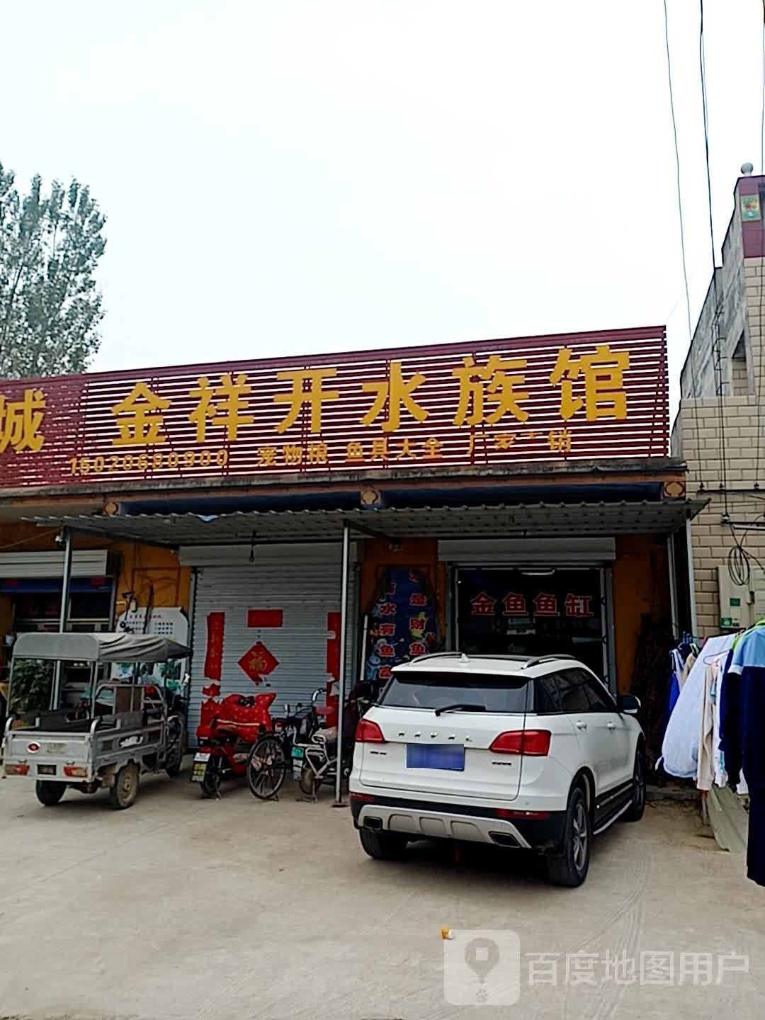 莘縣開水族店怎么樣？加盟祥龍魚場賣龍魚市場怎樣？