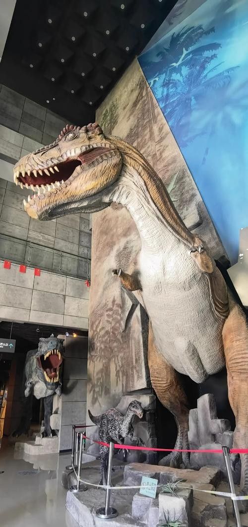 二連浩特開水族店怎么樣？加盟祥龍魚場賣龍魚市場怎樣？ 二連浩特開水族店怎么樣？加盟祥龍魚場賣龍魚市場怎樣？ 水族館百科（水族館加盟） 第5張