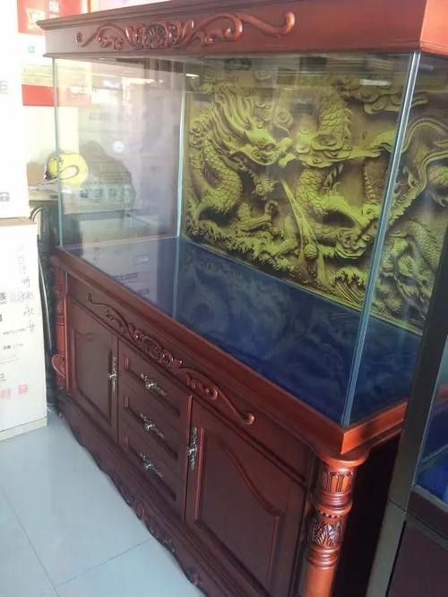 二連浩特開水族店怎么樣？加盟祥龍魚場賣龍魚市場怎樣？ 二連浩特開水族店怎么樣？加盟祥龍魚場賣龍魚市場怎樣？ 水族館百科（水族館加盟） 第3張