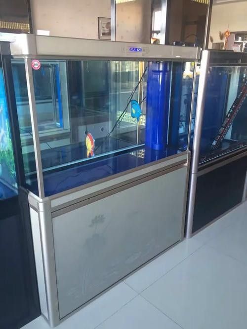 二連浩特開水族店怎么樣？加盟祥龍魚場賣龍魚市場怎樣？ 二連浩特開水族店怎么樣？加盟祥龍魚場賣龍魚市場怎樣？ 水族館百科（水族館加盟） 第2張