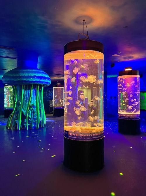 東莞開水族店怎么樣？加盟祥龍魚場賣龍魚市場怎樣？ 東莞開水族店怎么樣？加盟祥龍魚場賣龍魚市場怎樣？ 水族館百科（水族館加盟） 第5張