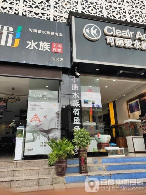 興義開水族店怎么樣？加盟祥龍魚場賣龍魚市場怎樣？