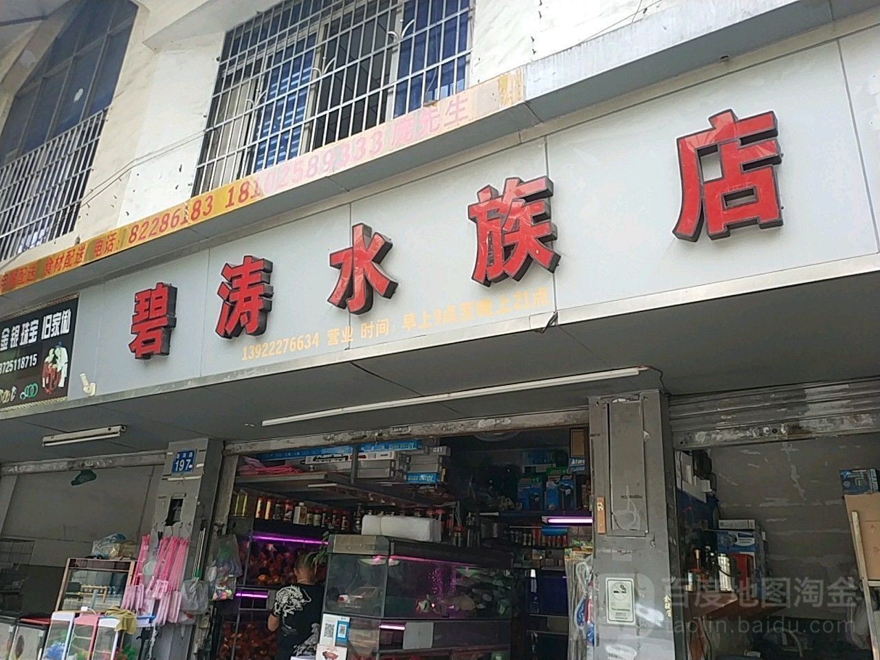 南崗開水族店怎么樣？加盟祥龍魚場賣龍魚市場怎樣？