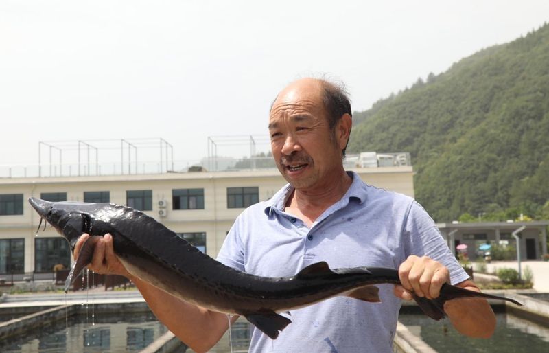 佛坪開水族店怎么樣？加盟祥龍魚場賣龍魚市場怎樣？ 佛坪開水族店怎么樣？加盟祥龍魚場賣龍魚市場怎樣？ 水族館百科（水族館加盟） 第9張