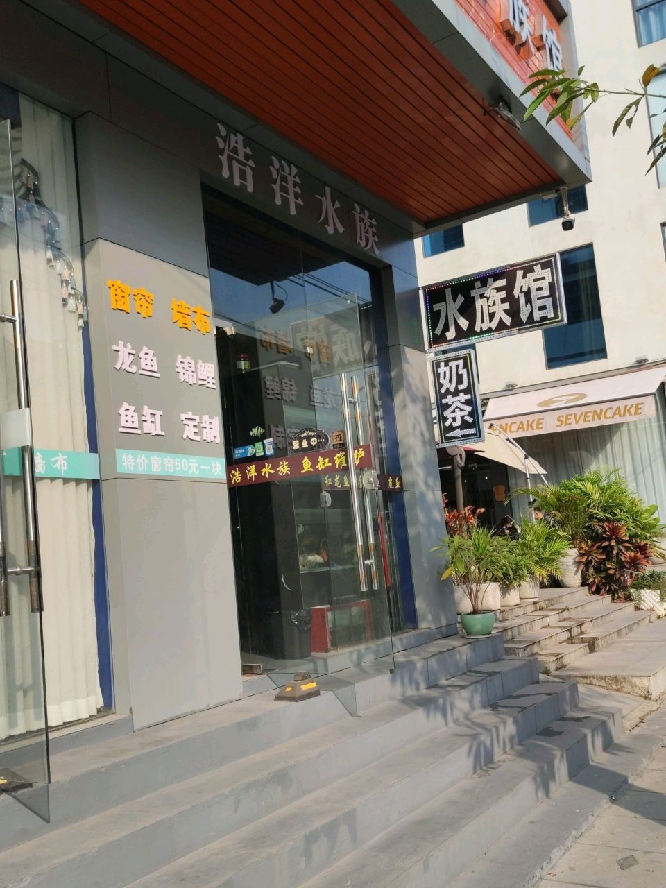 惠城開(kāi)水族店怎么樣？加盟祥龍魚(yú)場(chǎng)賣(mài)龍魚(yú)市場(chǎng)怎樣？
