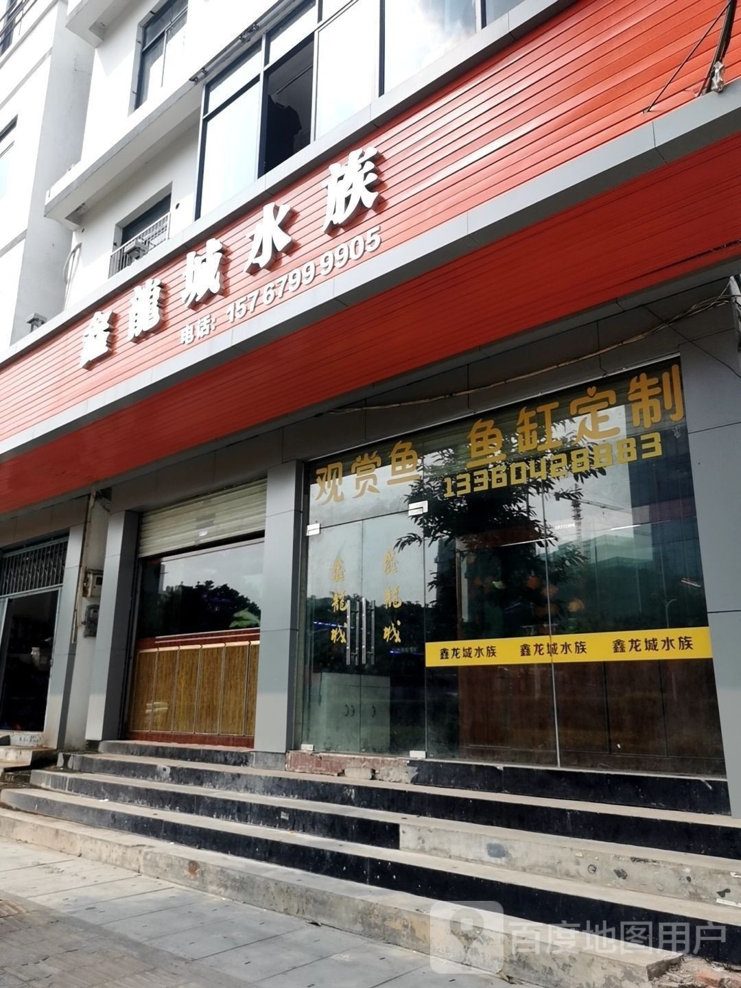 惠城開(kāi)水族店怎么樣？加盟祥龍魚(yú)場(chǎng)賣(mài)龍魚(yú)市場(chǎng)怎樣？