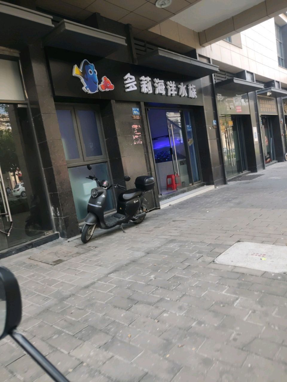 惠城開(kāi)水族店怎么樣？加盟祥龍魚(yú)場(chǎng)賣(mài)龍魚(yú)市場(chǎng)怎樣？