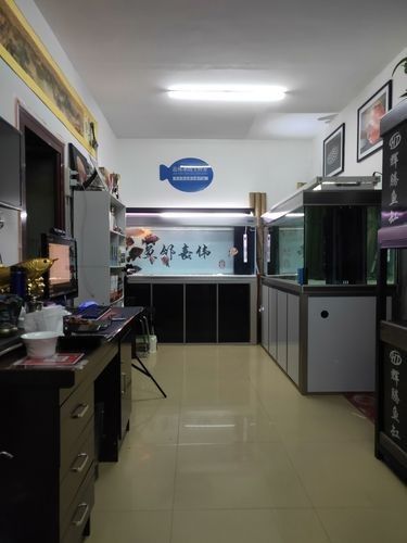 天橋開水族店怎么樣？加盟祥龍魚場(chǎng)賣龍魚市場(chǎng)怎樣？ 天橋開水族店怎么樣？加盟祥龍魚場(chǎng)賣龍魚市場(chǎng)怎樣？ 水族館百科（水族館加盟） 第7張
