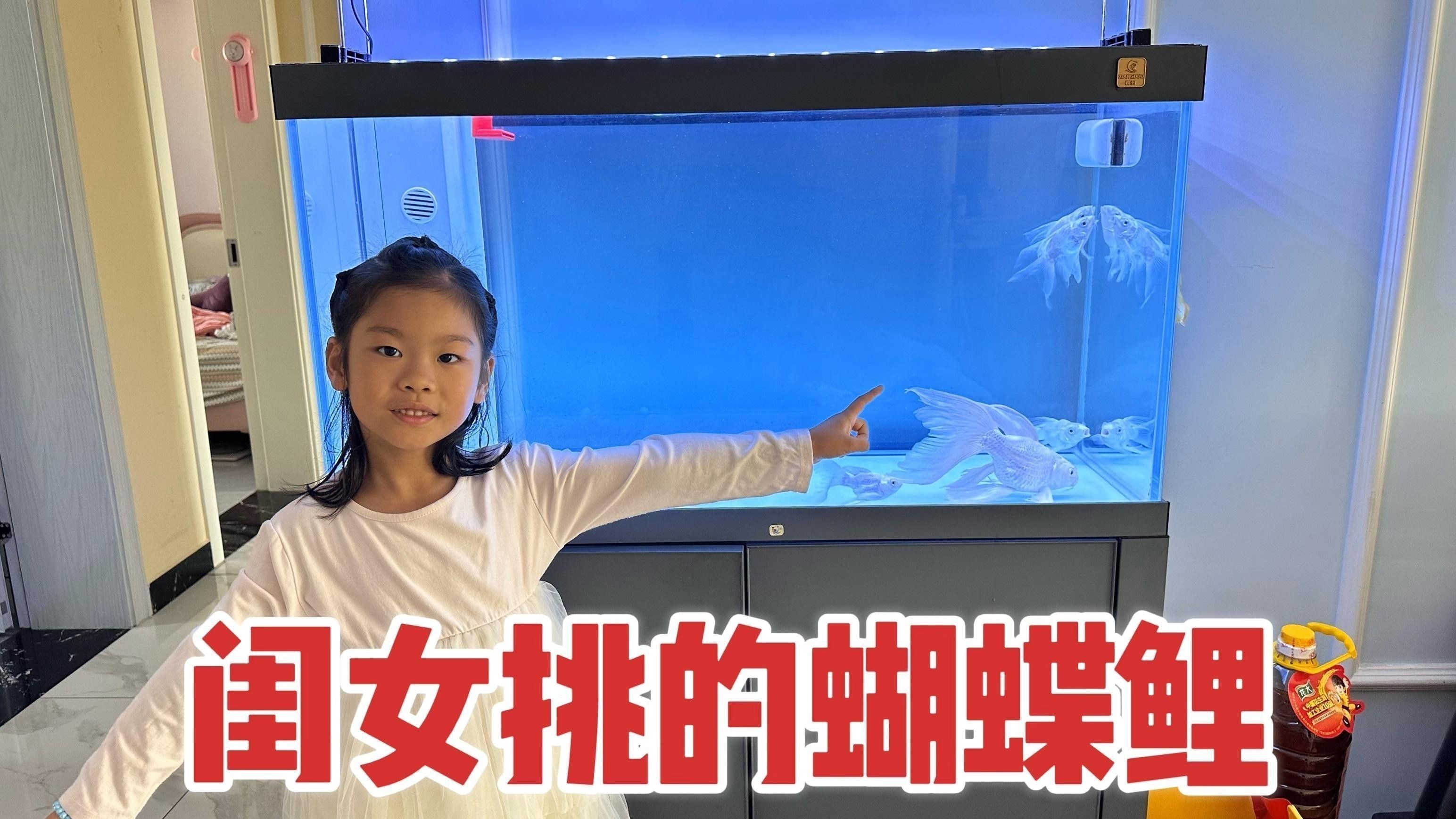 前進開水族店怎么樣？加盟祥龍魚場賣龍魚市場怎樣？ 前進開水族店怎么樣？加盟祥龍魚場賣龍魚市場怎樣？ 水族館百科（水族館加盟） 第7張