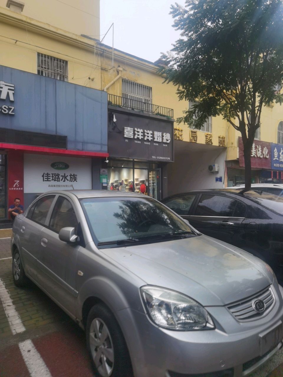 臨清開水族店怎么樣？加盟祥龍魚場賣龍魚市場怎樣？
