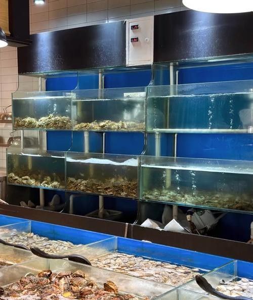 陵城開水族店怎么樣？加盟祥龍魚場賣龍魚市場怎樣？ 陵城開水族店怎么樣？加盟祥龍魚場賣龍魚市場怎樣？ 水族館百科（水族館加盟） 第1張