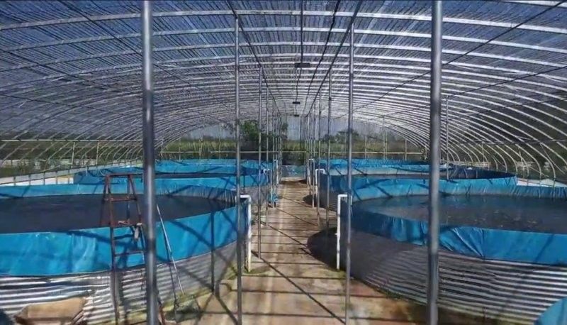 南譙開水族店怎么樣？加盟祥龍魚場賣龍魚市場怎樣？ 南譙開水族店怎么樣？加盟祥龍魚場賣龍魚市場怎樣？ 水族館百科（水族館加盟） 第9張