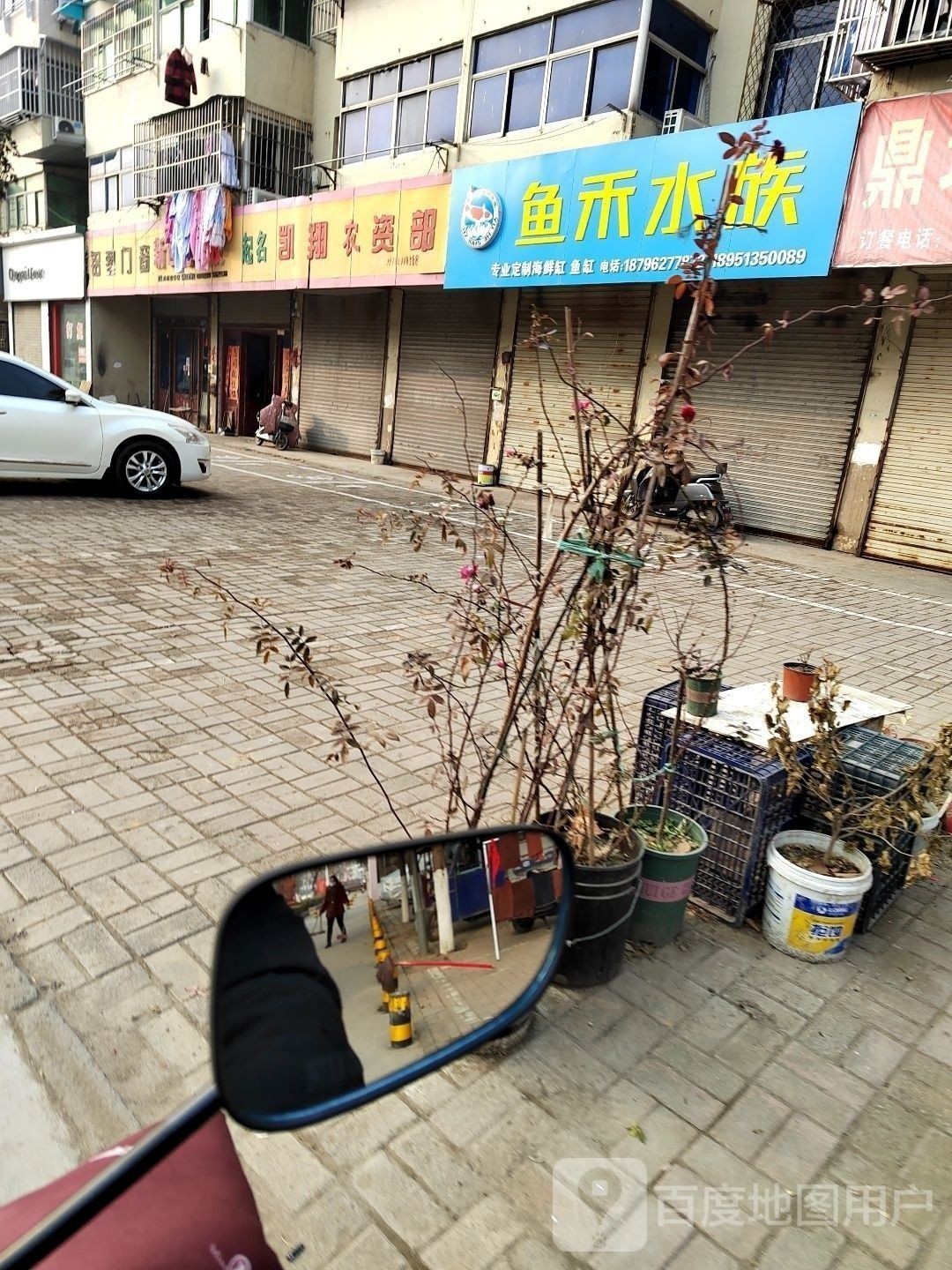 銅山開水族店怎么樣？加盟祥龍魚場賣龍魚市場怎樣？